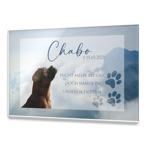 CHRISCK design Premium Tier Grabstein aus edlem Hochglanz Acrylglas | 100% witterungsbeständig Grabplatten mit Foto Bild UV Druck 30x20 cm Gedenktafel für Haustiere Hunde Hund Katze von CHRISCK design