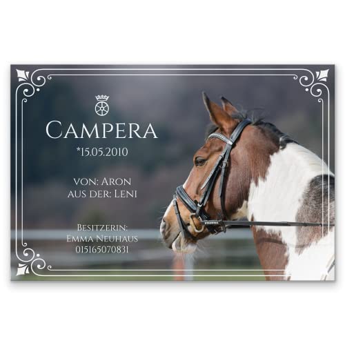 Pferdeschilder Boxenschild mit Bild und Wunschtext - stabile Alu Verbundplatte/AluDibond - 30x20 cm - sofort personalisierbar - inkl. Brandzeichen & Motiven von CHRISCK design