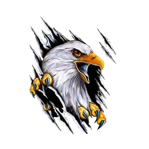 CHSLO Auto Aufkleber Cartoon klassisches Tier Adler Auto Motorrad Vinyl Aufkleber PVC wasserdichte Sonnencreme von CHSLO