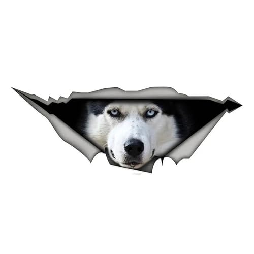 CHSLO Auto Aufkleber Husky Kopf Hund Haustier Haustier Selbstklebender Aufkleber Wasserdichte Autodekore auf Stoßstange Heckscheibe Laptop von CHSLO