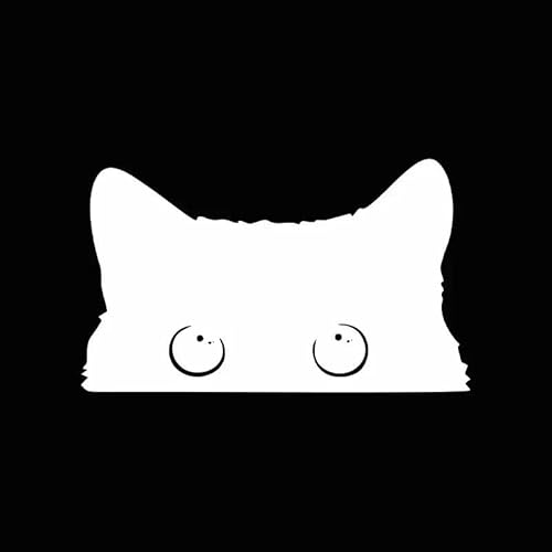 CHSLO Auto Aufkleber Zubehör Arme Katze stiehlt mit großen Augen Uhr Vinyl Auto Styling Abdeckung Wasserdichtes PVC CHSLO Auto Aufkleber Zubehör Arme Katze stiehlt mit großen Augen Uhr Vinyl Auto Styling Abdeckung Wasserdichtes PVC von CHSLO