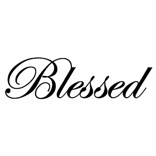 CHSLO Autoaufkleber 17CM * 4,9CM Blessed Turbo Lustige Vinyl Aufkleber Aufkleber Auto Schwarz/Silber von CHSLO