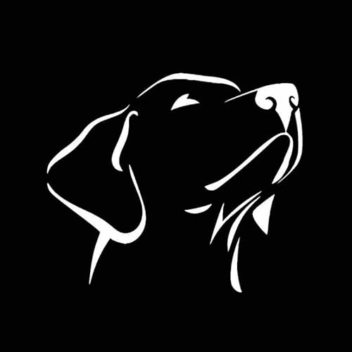 CHSLO Lustiger Labrador Retriever Wasserdichtes Auto Aufkleber Automobile Motorräder Außenzubehör Zerkratzte Unterschlupf Vinyl Aufkleber CHSLO Lustiger Labrador Retriever Wasserdichtes Auto Aufkleber Automobile Motorräder Außenzubehör Zerkratzte Unterschlupf Vinyl Aufkleber von CHSLO