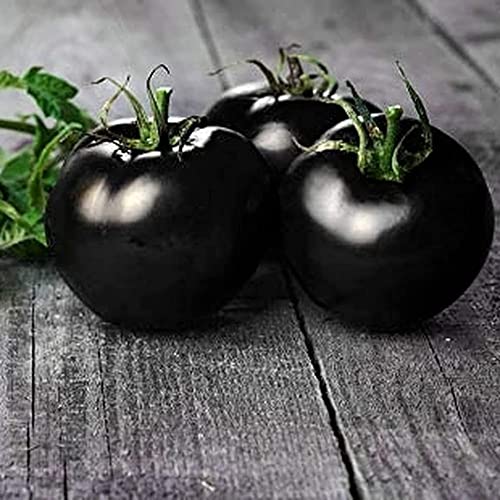 CHTING 200 Stück Tomate Samen Einzigartige Sorte Schwarze Frucht Mehrjährige Kräuterfamilie Heirloom Spezieller Geschmack Gartenbepflanzung Im Freien von CHTING