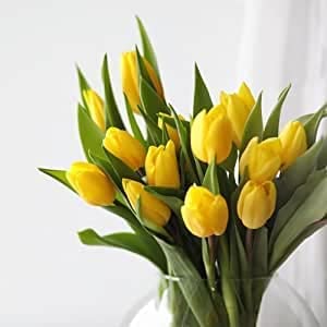 CHTING 6 Stück Gelbe Tulpenzwiebeln Wunderschöne Farbe Wertvollste Mehrjährige Blumen Kunst Blumenarrangements Unverzichtbare Exotische Dekorationen Für Freunde von CHTING