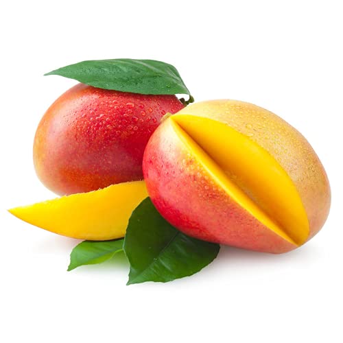 CHTING Mango-Samen, rot, glatte Haut, besondere Sorte, Obst, einfach zu pflanzen, braucht nicht viel Pflege, geliebt von Gärtnern, genießen Sie Freude an der Ernte, 3 Stück von CHTING