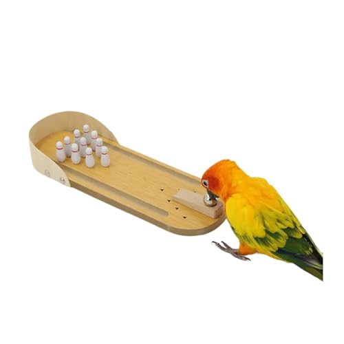 CHUANYGU Papageien-Bowlingspielzeug aus Holz für kleine Vögel, interaktives Trainingsspiel, anwendbar für Sittiche, Nymphensittiche, Sittiche, Sittiche, Sittiche, Sittiche, Lovebirds, CHUANYGU Papageien-Bowlingspielzeug aus Holz für kleine Vögel, interaktives Trainingsspiel, anwendbar für Sittiche, Nymphensittiche, Sittiche, Sittiche, Sittiche, Sittiche, Lovebirds, von CHUANYGU
