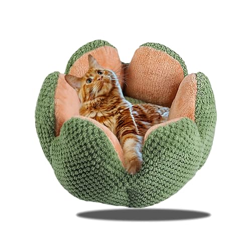 CHUANYGU Rundes Haustierbett für Katzen und kleine Hunde – weiches Plüsch-Donut-Bett mit abnehmbarem Bezug, waschbarer und rutschfester Boden (grün) von CHUANYGU