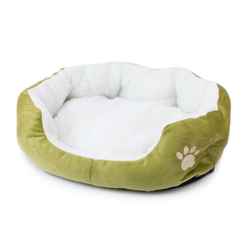 CHUANYGU Weiches, flauschiges Haustierbett für Katzen und Hunde, waschbare Sofa-Matte, Größe M (50 x 40 cm) und L (60 x 50 cm), bequemes Plüsch-Schlafkissen (Grün, L) von CHUANYGU