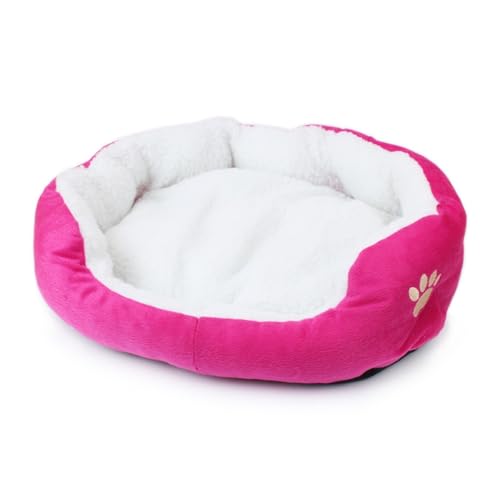 CHUANYGU Weiches, flauschiges Haustierbett für Katzen und Hunde, waschbare Sofa-Matte, Größe M (50 x 40 cm) und L (60 x 50 cm), bequemes Plüsch-Schlafkissen (Rosa, M) von CHUANYGU