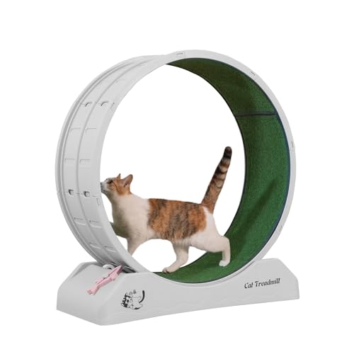 Laufband für Katzen für den Innenbereich, Grau – Katzenlaufband zum Laufen und Spielen, robuste PP-Konstruktion, Grau Laufband für Katzen für den Innenbereich, Grau – Katzenlaufband zum Laufen und Spielen, robuste PP-Konstruktion, Grau von CHUANYGU