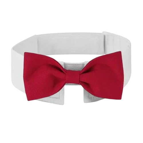 Verstellbare Krawatte für Hunde und Katzen, formelle Krawatte, Haustierbekleidung, Zubehör für Hochzeit, Urlaub, Party, weiches, atmungsaktives Polyester, Größen S, M, L, Rot, L Verstellbare Krawatte für Hunde und Katzen, formelle Krawatte, Haustierbekleidung, Zubehör für Hochzeit, Urlaub, Party, weiches, atmungsaktives Polyester, Größen S, M, L, Rot, L von CHUANYGU