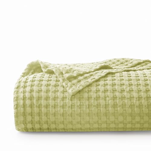 CHUFFED 100% Baumwolle Decke 220 x 240 cm, Weiche und Atmungsaktive Tagesdecke, Waffelmuster Leichte Decke als Sofadecke Couchdecke, Weich Kuschelige Wohndecke Wohnzimmer, Avocado Grün CHUFFED 100% Baumwolle Decke 220 x 240 cm, Weiche und Atmungsaktive Tagesdecke, Waffelmuster Leichte Decke als Sofadecke Couchdecke, Weich Kuschelige Wohndecke Wohnzimmer, Avocado Grün von CHUFFED