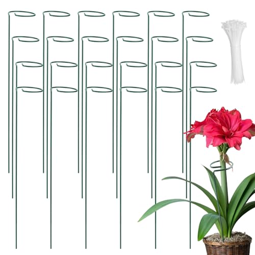CHUIFAI 24 Stück 40cm Pflanzenstütze mit 100 Kabelbinder, Staudenhalter Strauchstütze Blumenstütze Stahl Single Stem Stützring Pflanzenstützen für Zimmerpflanzen, Tulpen, Rose, Lilie, Orchideenstab von CHUIFAI