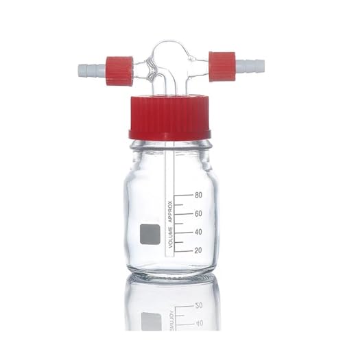 Schraubverschlussflasche for Waschen Gl45 100 ml 1000 ml Glasflasche PTFE-Kappen versiegelte Flasche(250ml(PTFE Caps)) von CHUIXISH