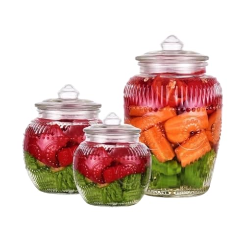 CHUNXVLI Aufbewahrungsglas Einfache Vorratsgläser Aus Glas Mit Luftdichten Deckeln for Die Lebensmittelorganisation Vorratsgläser Küche(Flowers) von CHUNXVLI