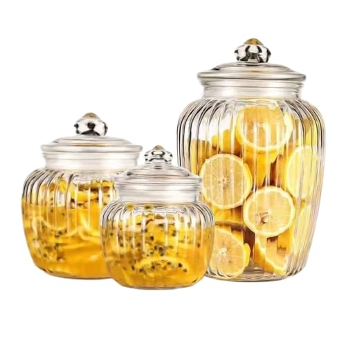 CHUNXVLI Aufbewahrungsglas Einfache Vorratsgläser Aus Glas Mit Luftdichten Deckeln for Die Lebensmittelorganisation Vorratsgläser Küche(Striped) von CHUNXVLI