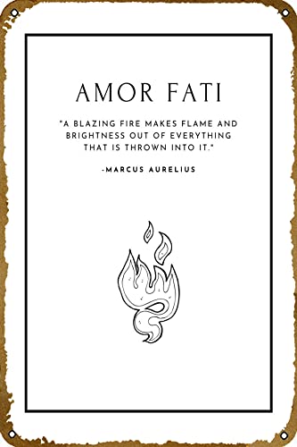 Amor Fati Stoicism Retro-Blechschild für Wanddekoration, 30,5 x 20,3 cm, Vintage-Poster, Kunstwerk, Geschenke für Zuhause oder Büro, Straße, Tor, Bars, Club, Restaurants, Cafés von CHUUIIGO