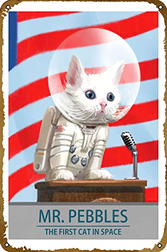 Mr Pebbles Poster Videospiel Metall-Blechschild Gaming Coole Wanddekoration Geschenke für Gamer 30,5 x 20,3 cm von CHUUIIGO