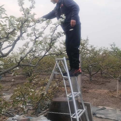 Stativ Leiter Aluminiumleiter, Haushalts-/gewerbliche Obstpflückleiter für Äpfel/Kirschen/Mangos, leicht zu transportierende Gartenleitern zum Baumschnitt(6-Layer) von CHZDPP