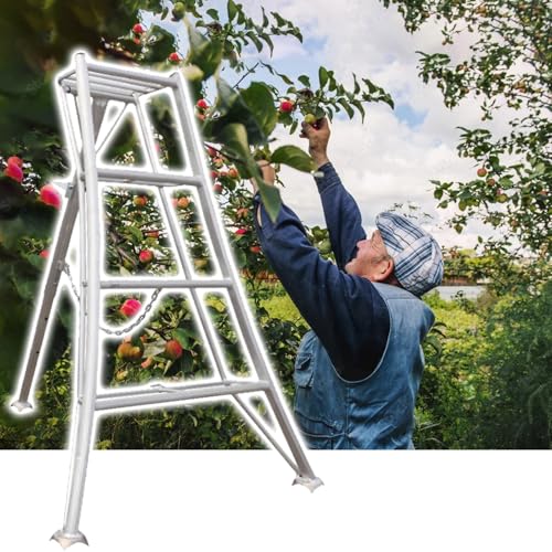 Stativ Leiter Stabile Aluminium-Dreibeinleiter mit breiteren Stufen, Professionelle Obstpflückleitern für Äpfel/Mangos/Birnen/Zitronen, Hohe Tragkraft(M) von CHZDPP