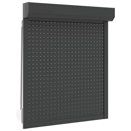 Rollladen Aluminium, CIADAZ Aussenrolladen, Schrank Rollo, Außenrollo, Sonnenschutzrollo Außen, 100 x 120 cm Anthrazit von CIADAZ