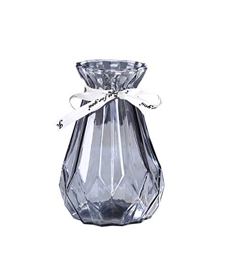 CIEEIN CIEHT Glas Vase Blumenvase Vasen Home Office Dekoration und Veranstaltungen Grau 15cm CIEEIN CIEHT Glas Vase Blumenvase Vasen Home Office Dekoration und Veranstaltungen Grau 15cm von CIEEIN CIEHT
