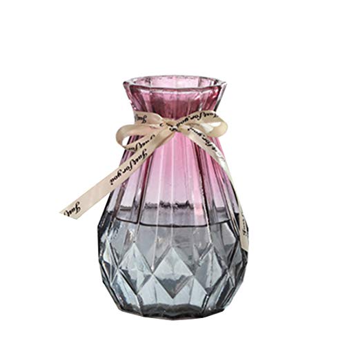 CIEEIN CIEHT Glas Vase Blumenvase Vasen Home Office Dekoration und Veranstaltungen Volett Grau 15cm von CIEEIN CIEHT