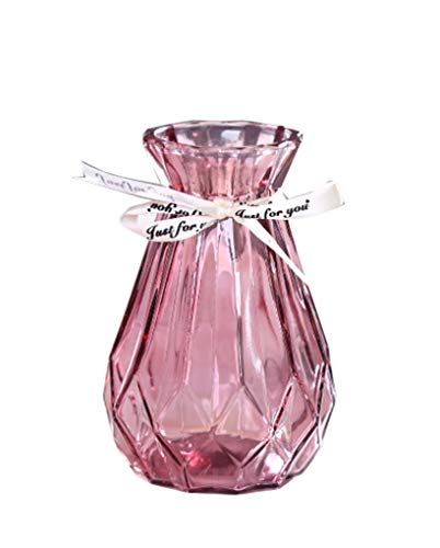 CIEEIN CIEHT Glas Vase Blumenvase Vasen Home Office Dekoration und Veranstaltungen Weinrot 15cm von CIEEIN CIEHT