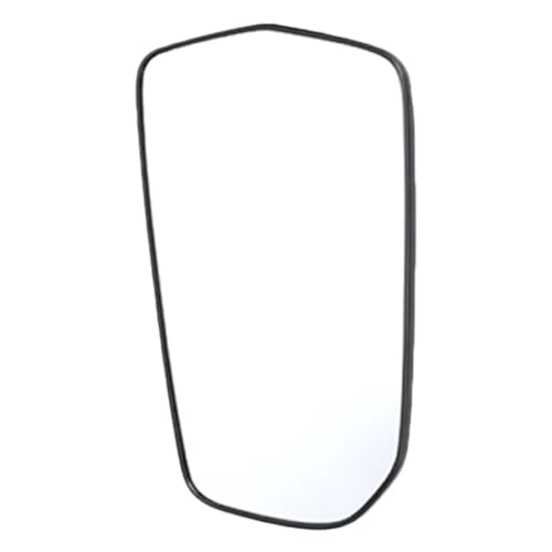 CIENUWPD Beheiztes Seitenspiegelglas Rückspiegelglas Links Rechts für Chevrolet Malibu L LS LT RS 2016 2017 2018 2019 2020 2021 23372271(Left Driver Side) von CIENUWPD