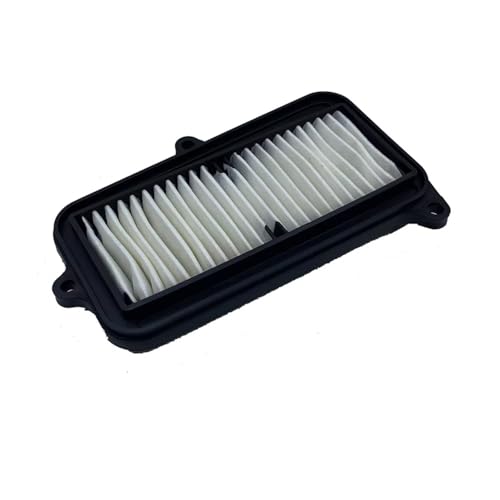 CIENUWPD Motorrad-Ersatzmotor-Luftfilterreiniger-Lufteinlassfilterelement für Hyosung GV250 GV 250 QM250-6 250cc(As The Picture) von CIENUWPD