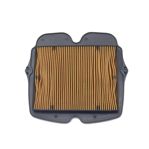 CIENUWPD Motorrad-Luftfilterreiniger Lufteinlassfilterelement für Honda VFR1200 2010-2016 VFR 1200 Crosstourer DCT 2012-2019(As The Picture) von CIENUWPD