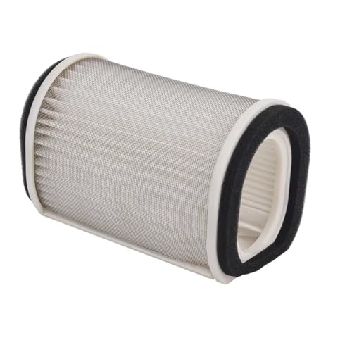CIENUWPD Motorrad Motor Luftfilter Reiniger Lufteinlass Filter Element für Yamaha FJR1300 FJR1300A FJR1300AS FJR1300AE FJR 1300(As The Picture) von CIENUWPD