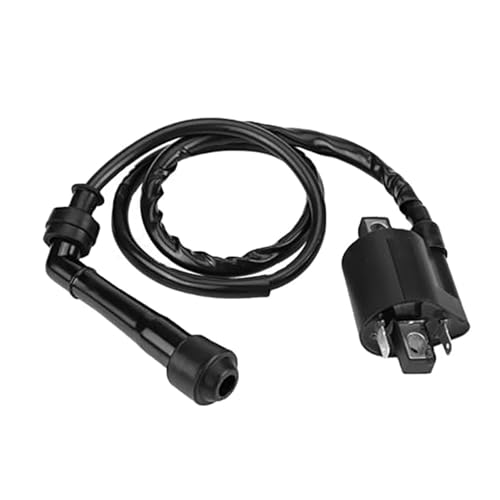 CIENUWPD Motorradteile Zündspule Zündsystemeinheit für Suzuki Intruder Volusia 800 VL800 2001 2002 2003 2004 CIENUWPD Motorradteile Zündspule Zündsystemeinheit für Suzuki Intruder Volusia 800 VL800 2001 2002 2003 2004 von CIENUWPD