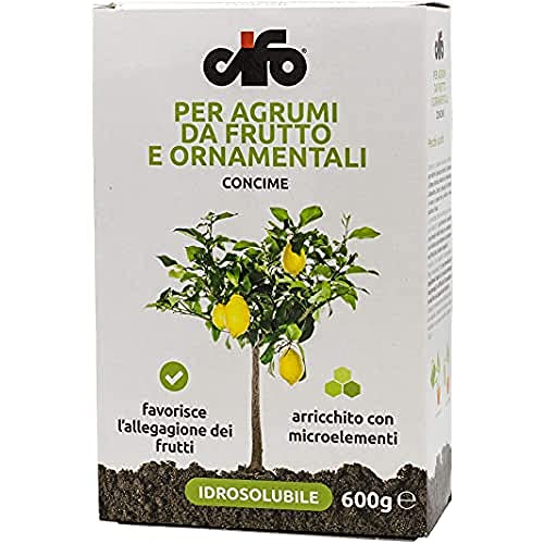 CIFO GRANVERDE AGRUMI GR.600 von CIFO