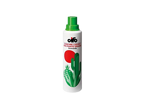 CIFO GRANVERDE PIANTE GRASSE ML. 400 von CIFO