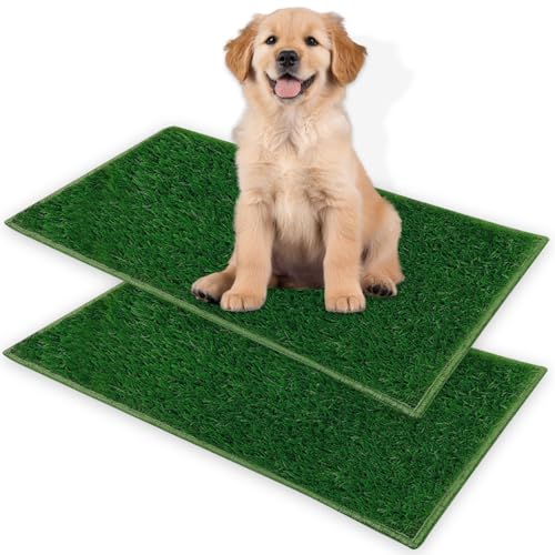Welpen Training Hundeklo Welpen Training Hundeklo von CIGAA