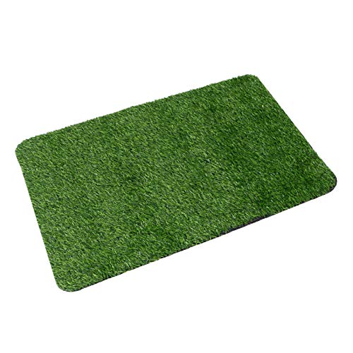 CIMAXIC 1 Stück Künstliche Gras Fußmatte rutschfeste Eingangsmatte Schmutzfänger für und Außenbereich Dekorativ und Pflegeleicht Zufällige Farbe Zufällige Farbe CIMAXIC 1 Stück Künstliche Gras Fußmatte rutschfeste Eingangsmatte Schmutzfänger für und Außenbereich Dekorativ und Pflegeleicht Zufällige Farbe Zufällige Farbe von CIMAXIC
