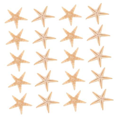 CIMAXIC 20 Stück Mini-seestern-Figuren Naturmaterialien Strandform Seestern-Statue Für Epoxid-Accessoires Hochzeitsdekorationen Mit Ozeanthema von CIMAXIC