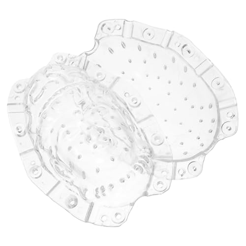 CIMAXIC Gemüseanbau Schimmel Form zum Formen von Gemüse Werkzeug zur Formung des Fruchtwachstums Factory-Design Pflanzengestaltung Ginseng-Fruchtformform multifunktionale formgebende Form von CIMAXIC