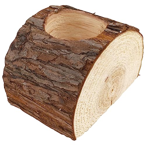 CIMAXIC Holzstumpf Pflanztopf Rustikaler Blumentopf für Sukkulenten Lochdurchmesser für Garten Terrasse Innenbereich Natürlicher Holzlook und Dekorativ von CIMAXIC