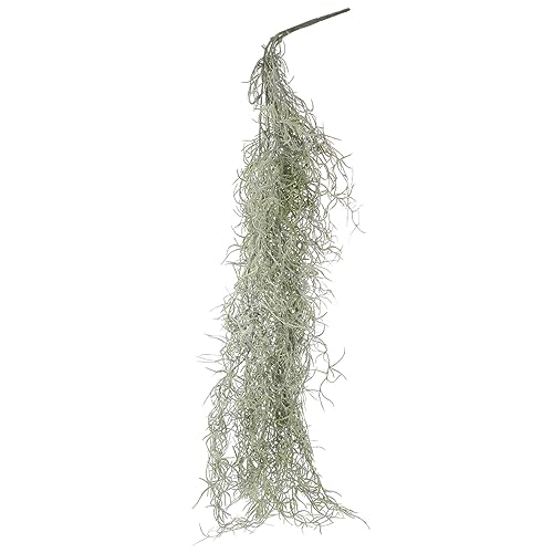 Künstliches Hängende Moos Für Topfpflanzen Mit Getrockneten Flechten Für Feengärten Und Terrarien von CIMAXIC