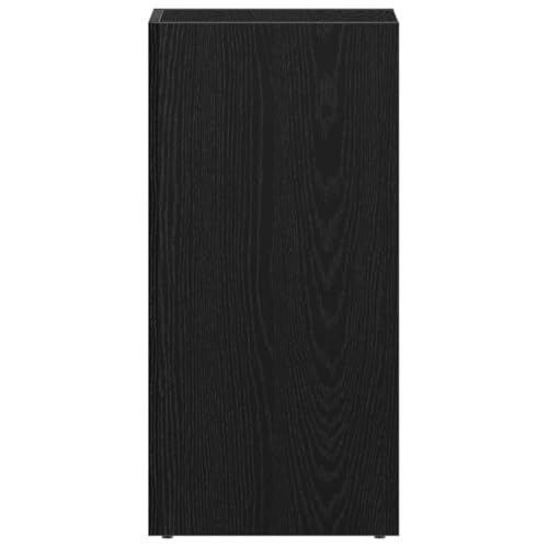 CIOURSTO Vinylische Speicherbox mit 2 Fächern, Robuster Backside Recorder Case Collection Regal, LP -Schrank Transportbox, Sonoma Oak Engineered Wood (Schwarze Eiche) von CIOURSTO