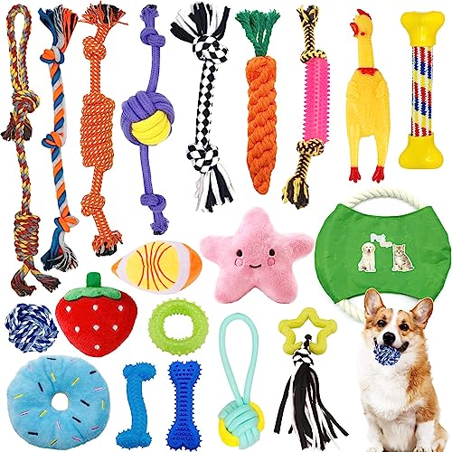 CIRULLI 20 Stück Hundespielzeug, Kauseil,interaktives Hundespielzeugs,Seil mit Ball,interaktives Hundespielzeug aus Baumwolle,sicher und ungiftig,kann die Zähne von Hunden für Welpen klein/mittel/groß CIRULLI 20 Stück Hundespielzeug, Kauseil,interaktives Hundespielzeugs,Seil mit Ball,interaktives Hundespielzeug aus Baumwolle,sicher und ungiftig,kann die Zähne von Hunden für Welpen klein/mittel/groß von CIRULLI