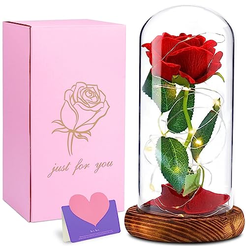 Cirulli Ewige Rose im Glas mit Licht,Rote Rosen Lampe in Glaskuppel,Valentinstag,Muttertag,Geburtstagsgeschenk, Romantisches Liebesgeschenk,Gifts for Women,Konservierte Blumen Cirulli Ewige Rose im Glas mit Licht,Rote Rosen Lampe in Glaskuppel,Valentinstag,Muttertag,Geburtstagsgeschenk, Romantisches Liebesgeschenk,Gifts for Women,Konservierte Blumen von CIRULLI