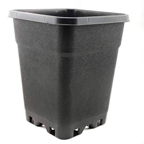 Blumentopf 7 Liter Vierkant viereckig 20 x 20 x 25 cm Schwarz Stabil von CIS