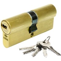 Cisa - Zylinder asix 30x30 vermessingt kurzer Nocken 1.0e300.07.0.00sz.c5 von CISA