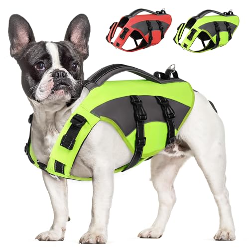 CITÉTOILE Hunde Schwimmweste mit Griff und Reflektierend, Einstellbare Rettungsweste für Kleine Mittel Große Hunde, Langlebigem für Wassersport Schwimmen und Bootfahren, Grün, L CITÉTOILE Hunde Schwimmweste mit Griff und Reflektierend, Einstellbare Rettungsweste für Kleine Mittel Große Hunde, Langlebigem für Wassersport Schwimmen und Bootfahren, Grün, L von CITÉTOILE