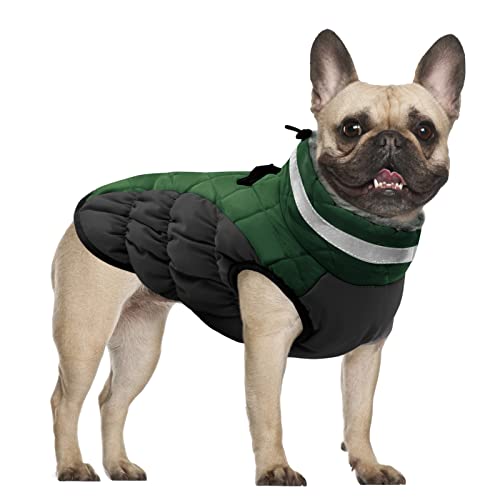 CITÉTOILE Hundemantel Winter,Hundejacke mit Geschirr, Wasserdicht Hundemantel mit Fleece Gefütterte für Kleine Hunde Warme Hundeweste mit Reflektierend für Kleine Mittel Grosse Hunde, Grün, XXL von CITÉTOILE