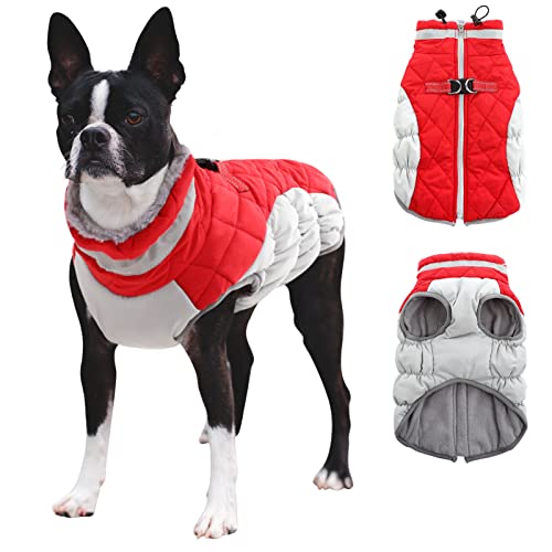 CITÉTOILE Hundemantel Winter,Hundejacke mit Geschirr, Wasserdicht Hundemantel mit Fleece Gefütterte für Kleine Hunde Warme Hundeweste mit Reflektierend für Kleine Mittel Grosse Hunde, Rot, L von CITÉTOILE